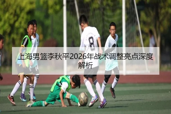 shang-hai-nan-lan-li-qiu-ping-nian-zhan-shu-tiao-zheng-liang-dian-shen-du-jie-xi-2-330.jpg